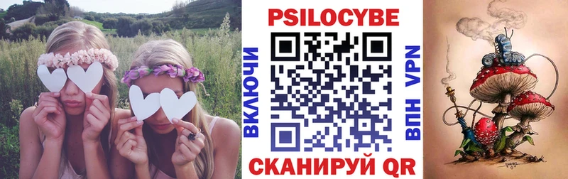 Псилоцибиновые грибы Psilocybine cubensis  где найти   Новопавловск 