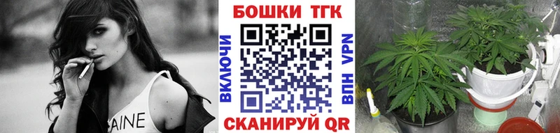 как найти наркотики  Новопавловск  Конопля MAZAR 
